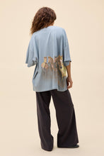 Load image into Gallery viewer, Wild Horses V-Neck Tee in Light Blue