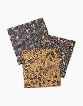 Load image into Gallery viewer, Autumn Harvest Dishcloth Set
