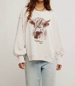 Graphic Camden Pullover in Highland Cow