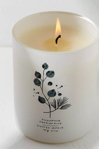 Free People Eucalyptus Candle